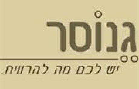 גיל-גולה / יועצת שינה ומדריכת הורים ומומחית בתאומים